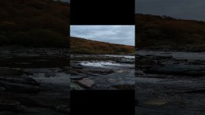 lv_0_20231026121242.mp4