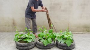 Make use of old tires, grow vegetables at home to provide for the family