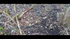 ТЯНУ ЖЕЛЕЗО ЛЕБЕДКОЙ. КОП В ДЕРЕВНЕ