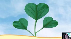 УДИВИТЕЛЬНЫЕ РОЗЫ! ЧАСТЬ 2