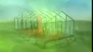 Процесс фотосинтеза начинается с восходом Солнца