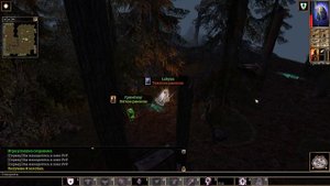 Neverwinter Nights - прохождение - #10