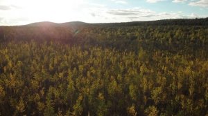 Скалы, кучёнки углежогов и остров в болоте. По верховьям Исети | Ураловед