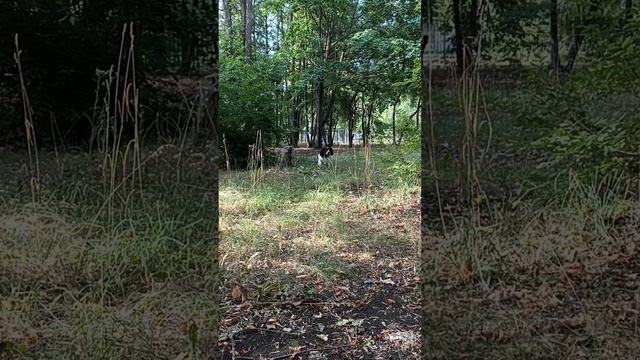 #юлякобяшова #вдохновение #август смотреть онлайн