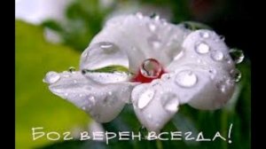 "Я хочу любить" - христианская песня