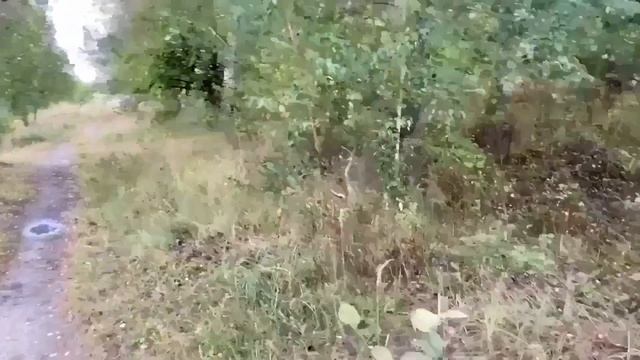 ЧТО У НИНЫ С ГЛАЗАМИ? ПИРАТСКАЯ ЖИЗНЬ.