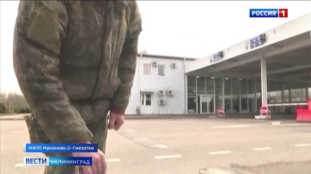На днях юбилей отмечает кинологический отдел Калининградской областной таможни