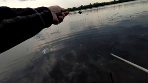 Ловля судака на донки/Ловля живца на малявочницу/Рыбалка на живца с берега/Видеоотчет Июнь 2023