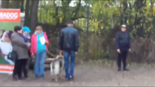 ИБЕРИЯ РЯДОВОСТЬ ЦВЕО смотреть онлайн