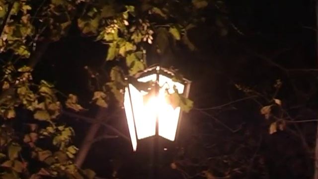 Город Звезд - Маргарита Олина. смотреть онлайн