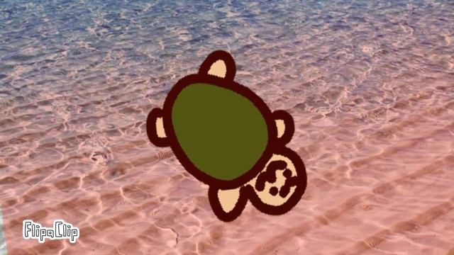 Морская черепашка по имени Наташка Meme (epilepsy warning) смотреть онлайн