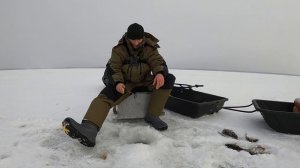 Зимняя рыбалка на окуня. Вылавливаем окуней. Зимняя рыбалка 2022