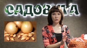 Как купить качественный лук ТК УНАС