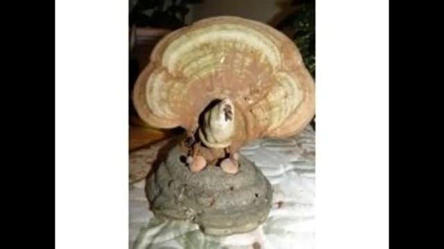 поделки из чаги / поделки своими руками смотреть онлайн