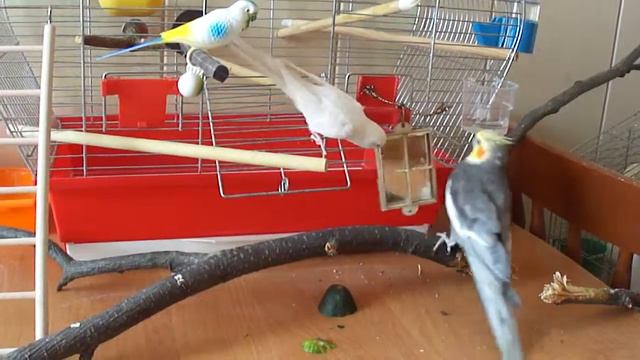 M4H08090 смотреть онлайн