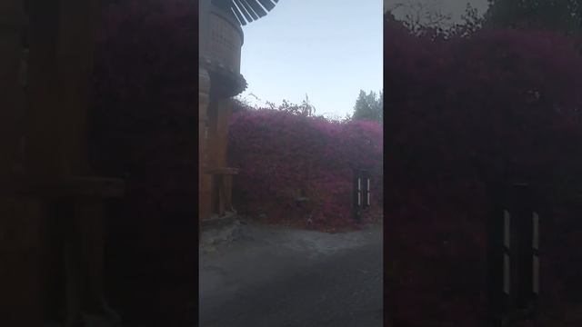 Типичная улица Шарм-Эль-Шейха (Египет) 17 декабря. смотреть онлайн