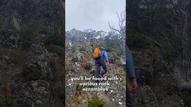 3 Of The Hardest Hikes In The Australian Alps