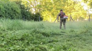 Még élek! - STIHL FS 490