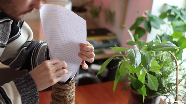 Опора из мха и почвы для сингониума  (SUB)