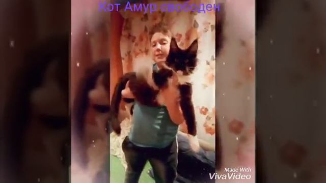 Мейн-кун котенок 4 месяца вес 4400 смотреть онлайн