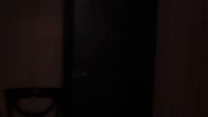 Аркадий Давидович купил всё