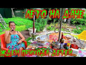 ДАЧА. Лето на ДАЧЕ. Что делать летом на даче? Дача в Подмосковье. Прилетели домой из Вьетнама.