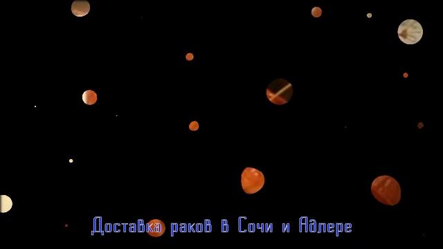 Доставка раков в Сочи и Адлере смотреть онлайн