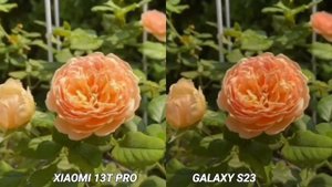 Xiaomi 13T Pro vs Galaxy S23 Camera test Comparison