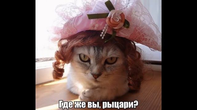 «зверюшки»   Для тех кому делать нечего