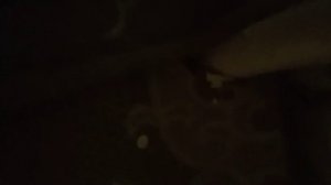 Слышно соседей снизу