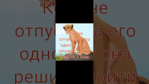 Король лев - История Рифу ( заказ)