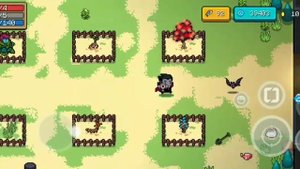 Как получить нового питомца в соул кнайт?