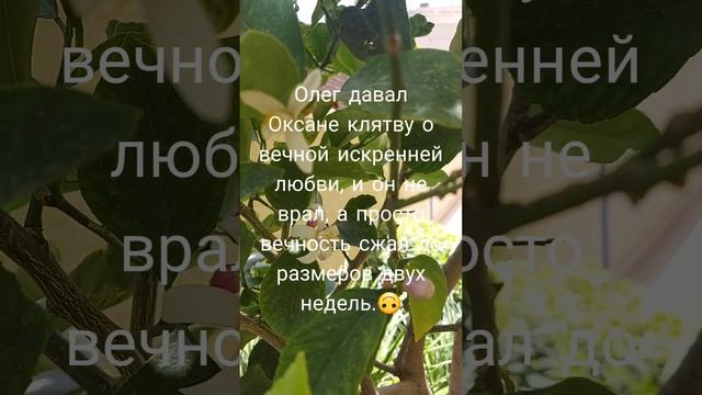 Стишки пирожки