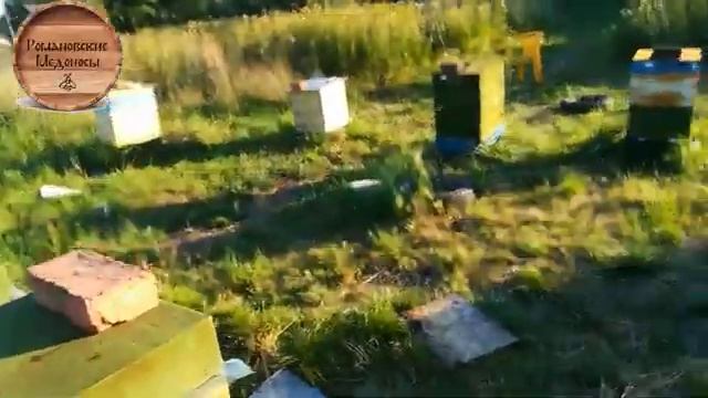 ?АРОМАТНАЯ ПАСЕКА?