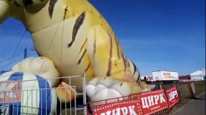 Гигантский  надувной ТИГР !!!
