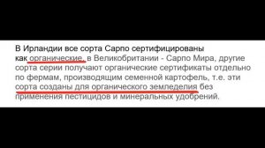 ОБЗОР  СВЕРХ УРОЖАЙ картофеля ТРЕХМЕТРОВАЯ ботва. Картофель УНИКА,