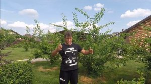 благоустройство и планирование участка часть 3 РЕЛЬЕФ УЧАСТКА И КОММУНИКАЦИИ