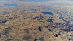 Клюквенная плантация - Съемка болота квадрокоптером в мае 2018года