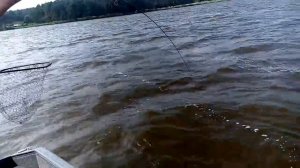 Сомик на джиг. St.Croix AVID AVS70MLF2