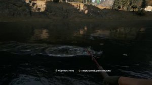 Far cry 5 все виды рыб эксперт