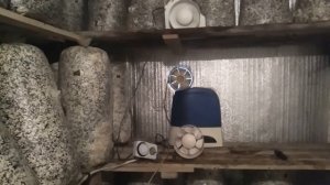 Вентилятор в Грибное Помещение какой Купить сколько Прослужит самый Дешевый Вентилятор