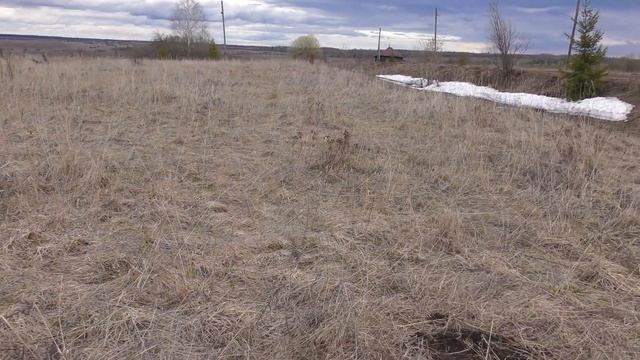 Изучаю территорию большого села. Апрельский коп. Архив сезона 2022. #Коп 78. смотреть онлайн