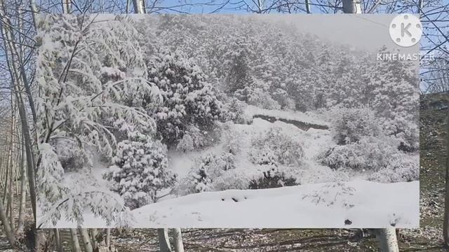 17-18-НОЯБИР ЖУДА КУЧЛИ ШАМОЛ ВА ДУЛ КУЧАГА ЧИҚМАНГ ОБ-ХАВО КЕСКИН ЎЗГАРАДИ ХАЛҚ ОГОХ БЎЛИНГ смотреть онлайн