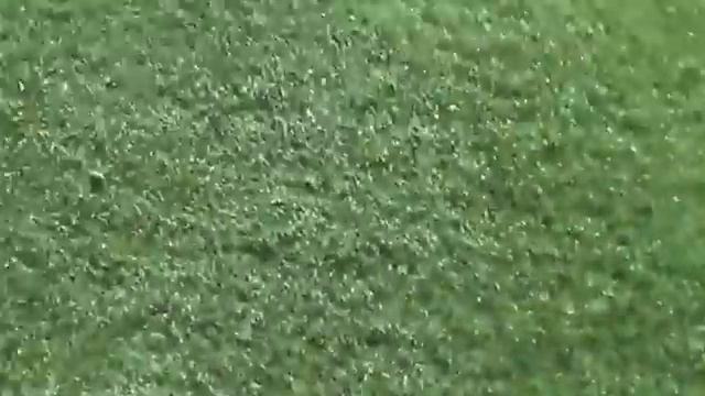 Как расколоть кокосовый орех смотреть онлайн