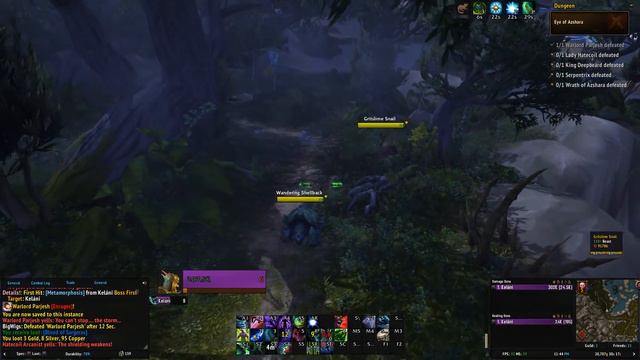 Top 15 BEST FLYING MOUNTS In World of Warcraft