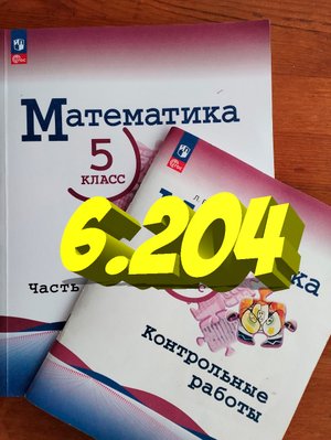 математика 5 класс номер 6.204