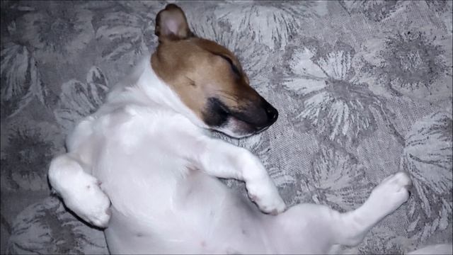 ВО СНЕ ЗАНИМАЕМСЯ КАРАТЕ.................. смотреть онлайн