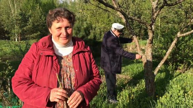 Родовое поместье Ханиных ПРП Ладное Владимирская области
