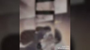 Сладкие следы от укусов 2 сезон 14 глава