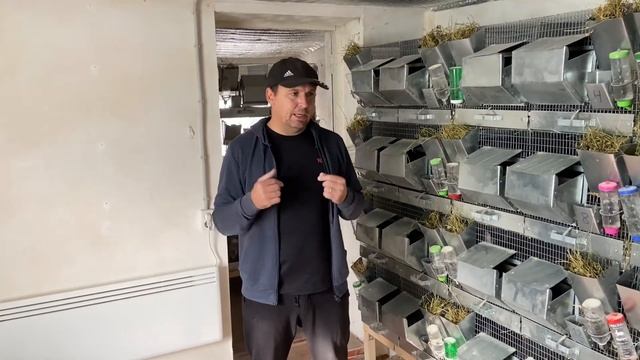 ГЛАВНАЯ ОШИБКА ШИНШИЛЛОВОДА | ШИНШИЛЛОВАЯ ФЕРМА | ФЕРМА ШИНШШИЛЛ смотреть онлайн